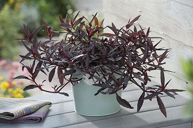 腾讯《最终幻想14：水晶世界》不删档正式上线！还原正版